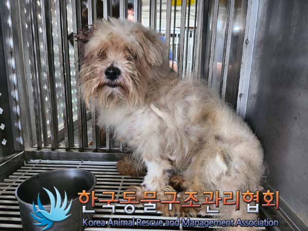 한국동물구조관리협회_441409202401044